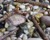 Sticks and Stones